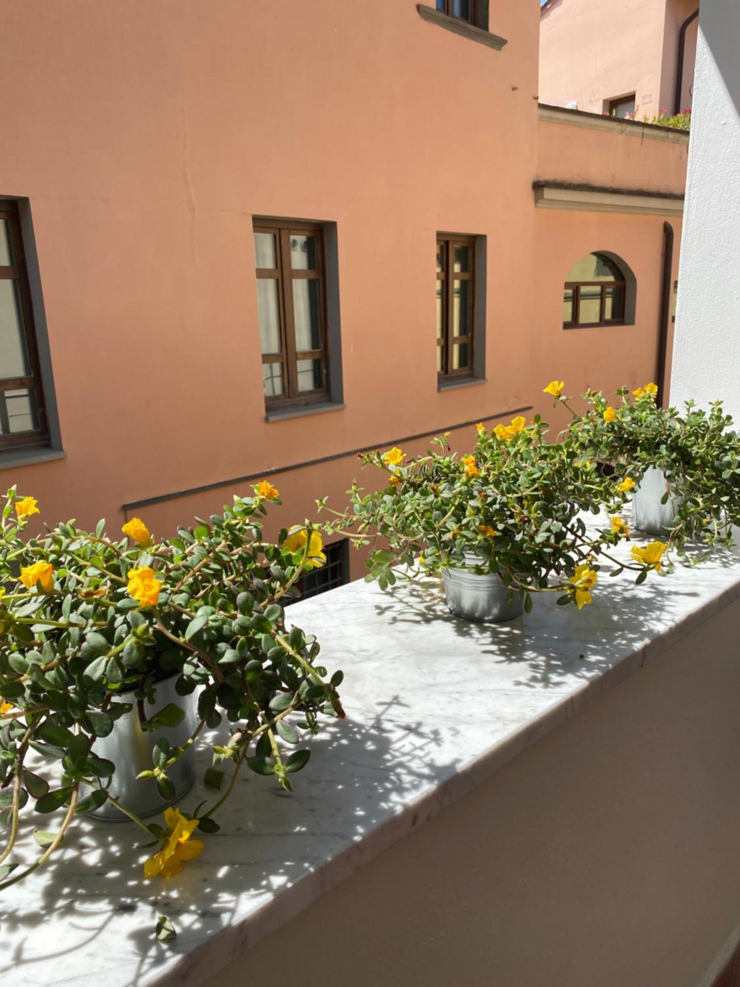 Blom Apartments Pisa Buitenkant foto